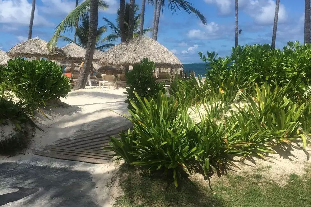 gluten-free-on-holiday-in-the-caribbean-1000×675 Gourmet Gluten & Grain Free Baking Mixes | Grain Free Mama’s