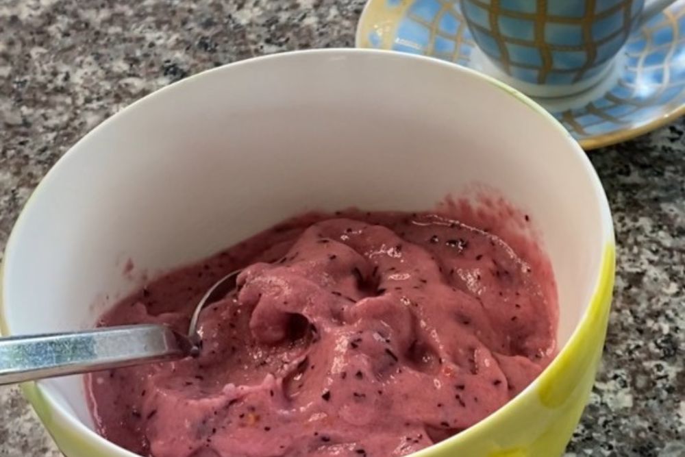 Easily Make Homemade Sugar Free Sorbetto | Grain Free Mamas Easily Make Homemade Sugar Free Sorbetto | Grain Free Mamas